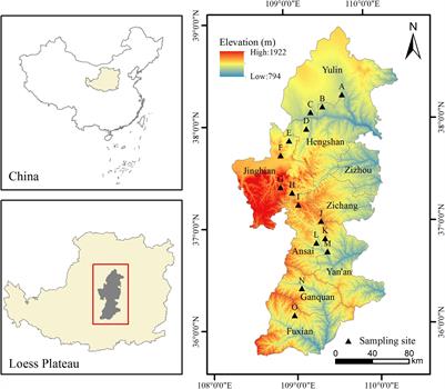 The Latitudinal Patterns of Leaf and Soil C:N:P Stoichiometry in the Loess Plateau of China